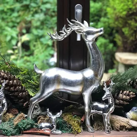 Penthouse-suite Mountain View Mit Waldhuette/sauna/netflix Апартаменты *