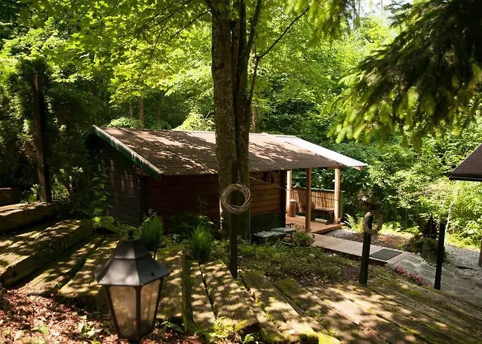 Penthouse-suite Mountain View Mit Waldhuette/sauna/netflix