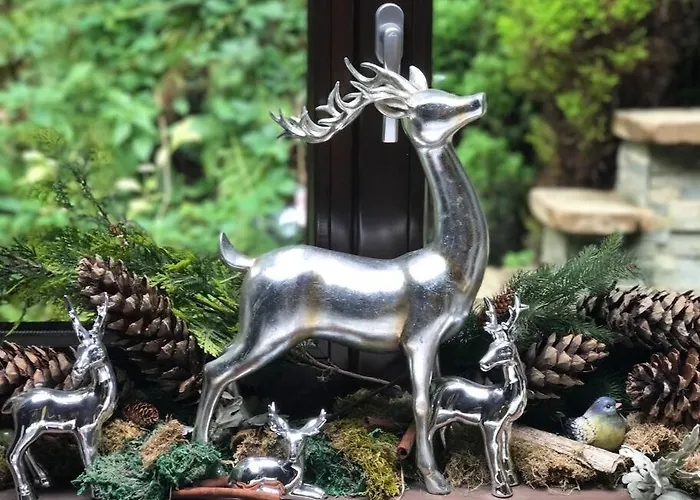 Penthouse-suite Mountain View Mit Waldhuette/sauna/netflix Daire *