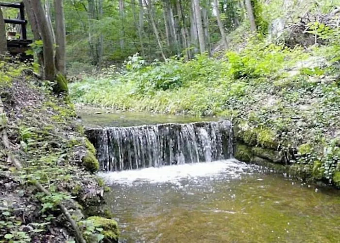 Penthouse-suite Mountain View Mit Waldhuette/sauna/netflix