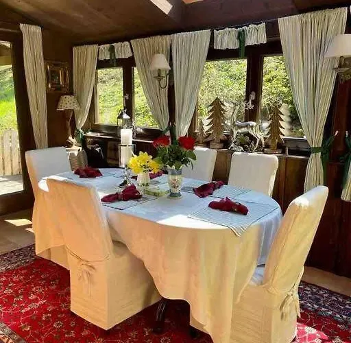 Penthouse-suite Mountain View Mit Waldhuette/sauna/netflix Daire Nachdemsee