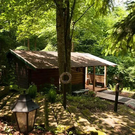 Penthouse-suite Mountain View Mit Waldhuette/sauna/netflix