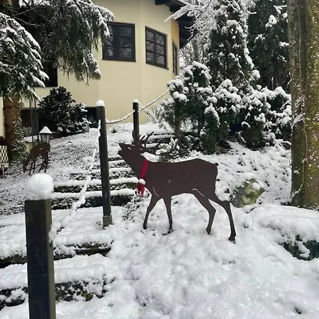 Penthouse-suite Mountain View Mit Waldhuette/sauna/netflix Lägenhet *