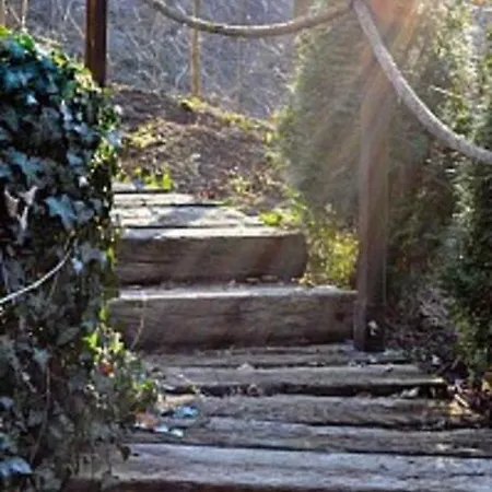 Penthouse-suite Mountain View Mit Waldhuette/sauna/netflix Lägenhet *