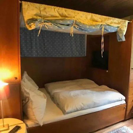 Penthouse-suite Mountain View Mit Waldhuette/sauna/netflix