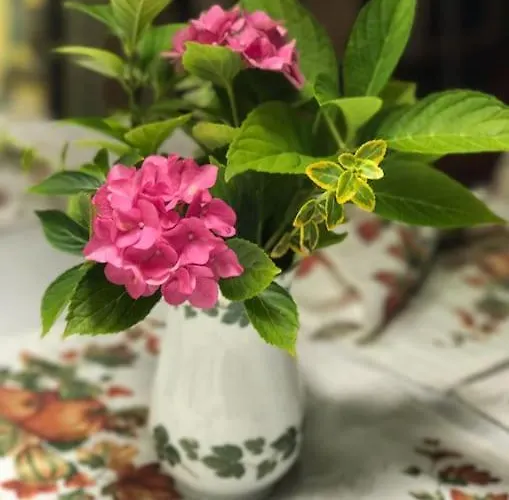 Penthouse-suite Mountain View Mit Waldhuette/sauna/netflix