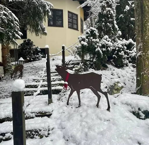 Penthouse-suite Mountain View Mit Waldhuette/sauna/netflix Apartment *